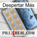 Despertar Más 44